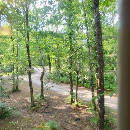 Parco vacanze Des Genets 5 Ou 6 Personnes Lacanau